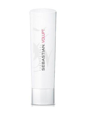 Sebastian Foundation Volupt Conditioner
