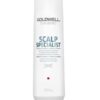 Goldwell DualSenses Scalp Specialist Deep Cleansing Shampoo 250 ml