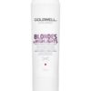 Goldwell DualSenses Blondes & Highlights Conditioner 1000 ml
