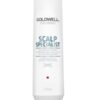 Goldwell DualSenses Scalp Specialist Anti-Dandruff Shampoo 250 ml