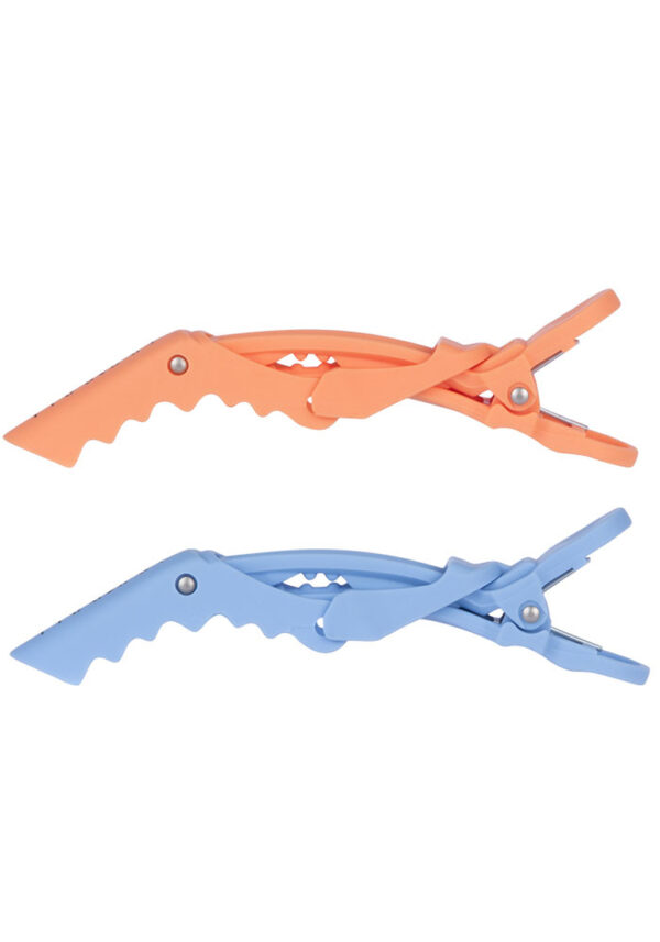 Framar California Dreamin' Colorist Kit