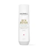 Goldwell DualSenses Rich Repair Restoring Shampoo 250 ml